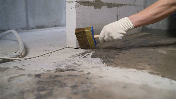 24/7 Emergency Wet Basement Repair experts in Rives Junction, MI